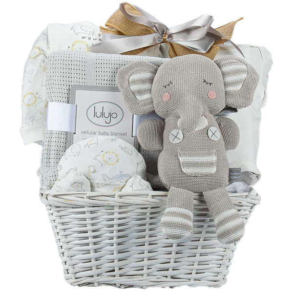 Top Newborn Baby Gift Baskets - MY BASKETS