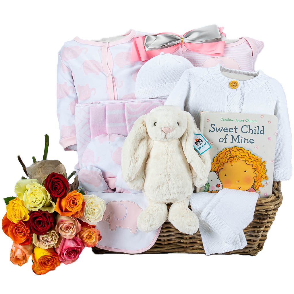 Celebrate New Life Gift Basket (Girl) | Baby Gift Baskets to the USA