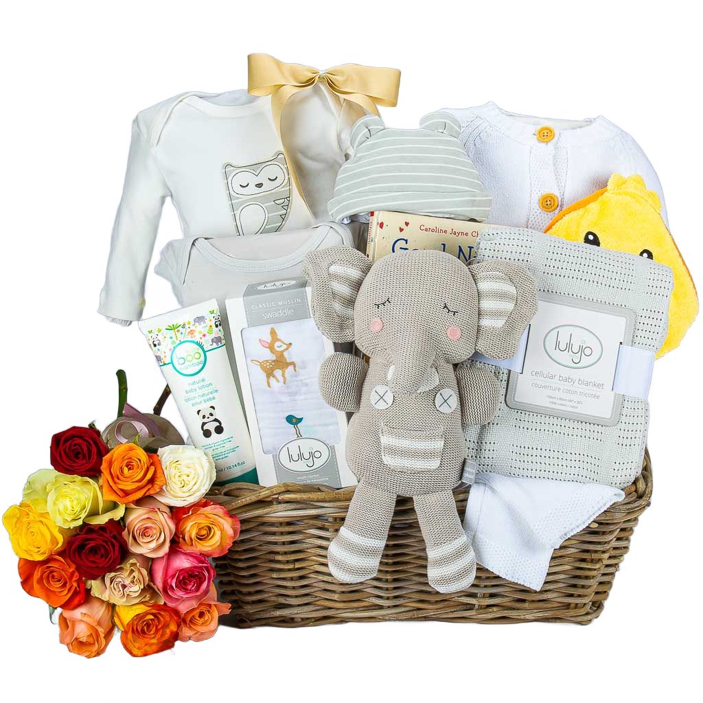 SPECIAL DELIVERY FOR THE BABY GIFT BASKET, gift basket USA Delivery