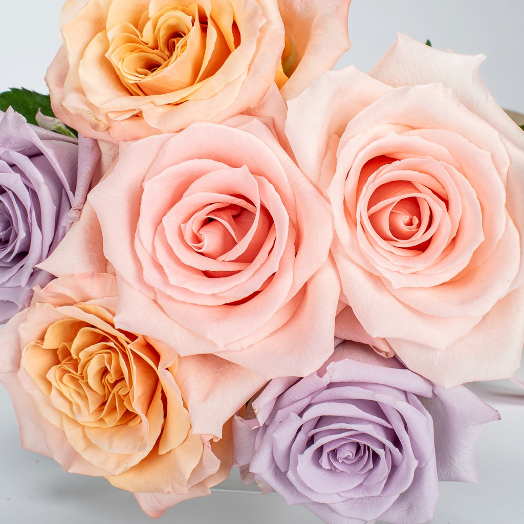 Stunning Fresh 6 Mixed Roses