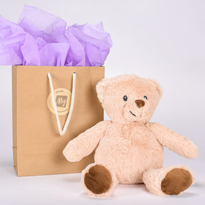 Teddy Plush Bear In Gift Bag