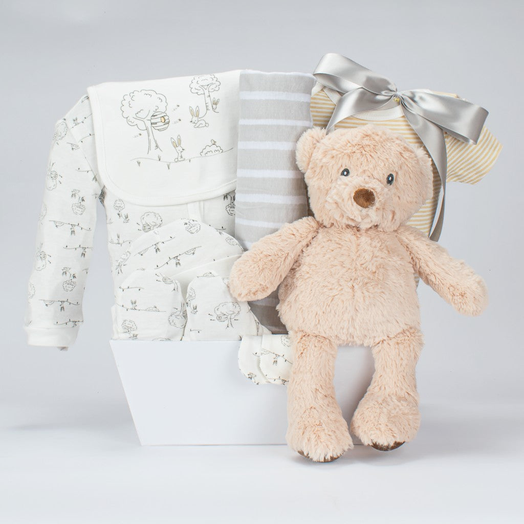 Neautral Baby Gift Basket