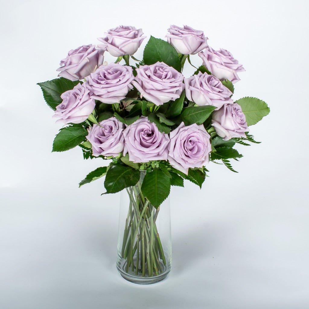 A Dozen Lavender Roses In A Tall Vase