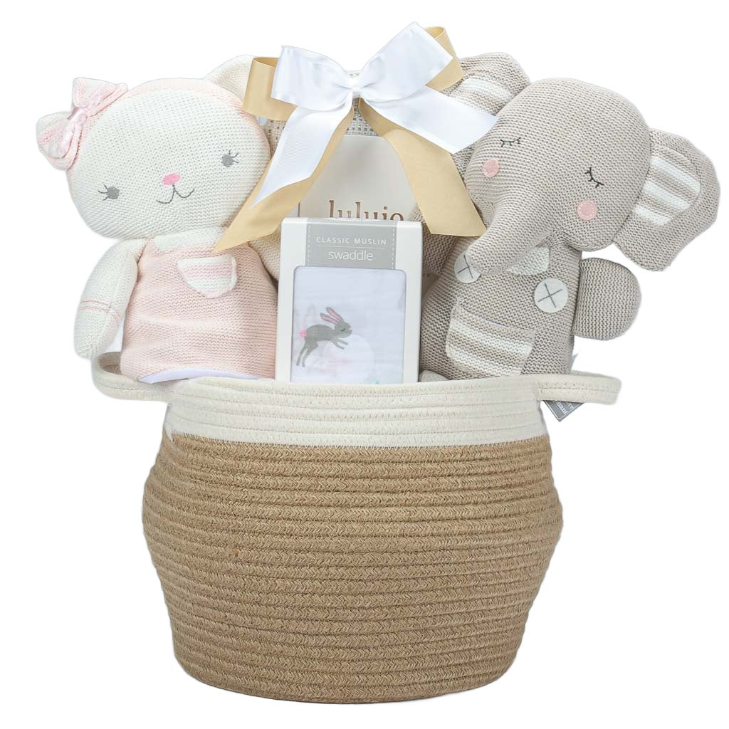 Welcome to The World 11 Piece Twin Baby Gifts Hamper Box New Baby  Essential, Socks, Toy, Plaque, Blankets, Muslins, Baby Moment Cards Baby  Shower Present Mum to Be Gift Bo Bunny (Unisex) :
