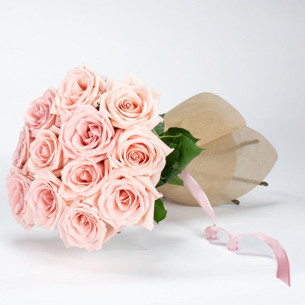 12 Light Pink Roses Hand Tied For Delivery