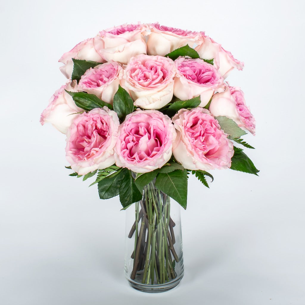 Pink Roses In A Vase