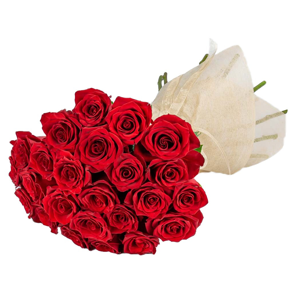 24 Red Roses Bouquet