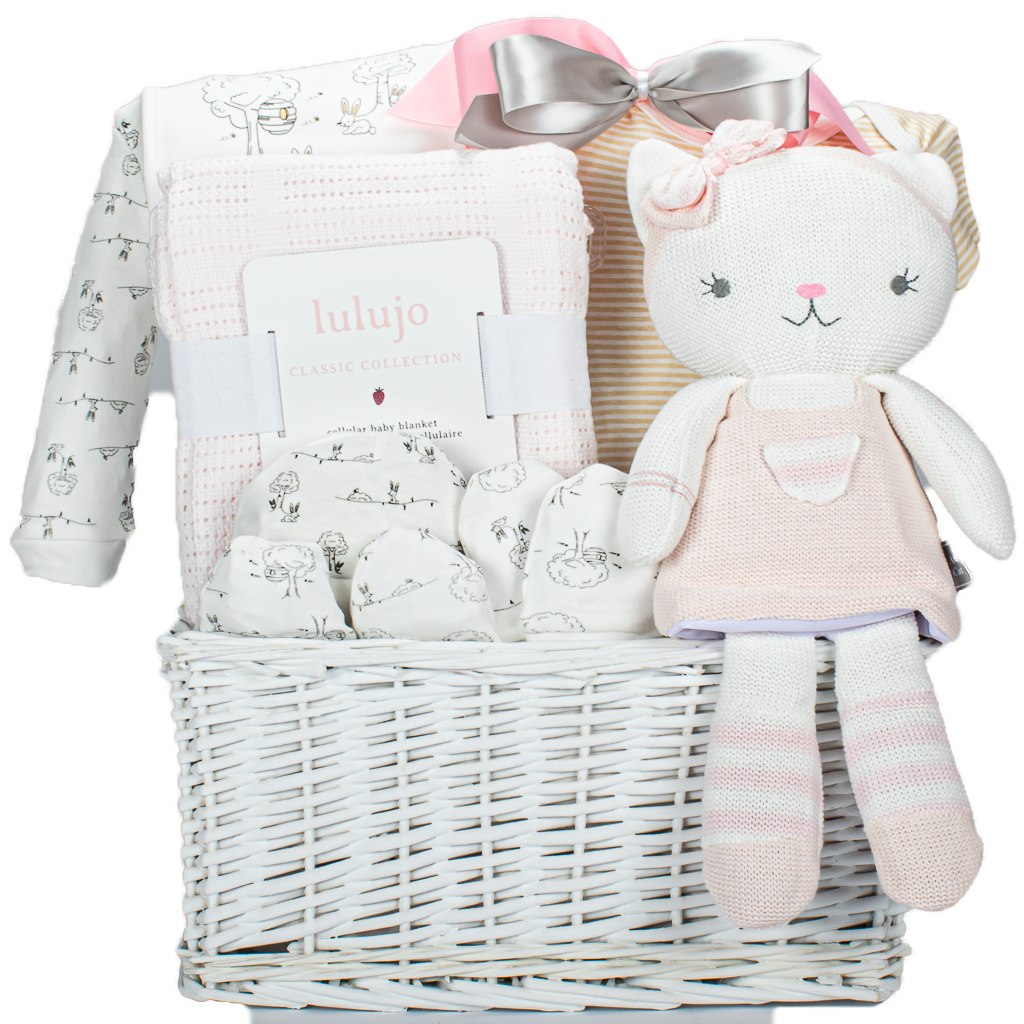 Welcome Baby Girl To World Newborn Gifts Baby Hamper Gift Delivery MY BASKETS