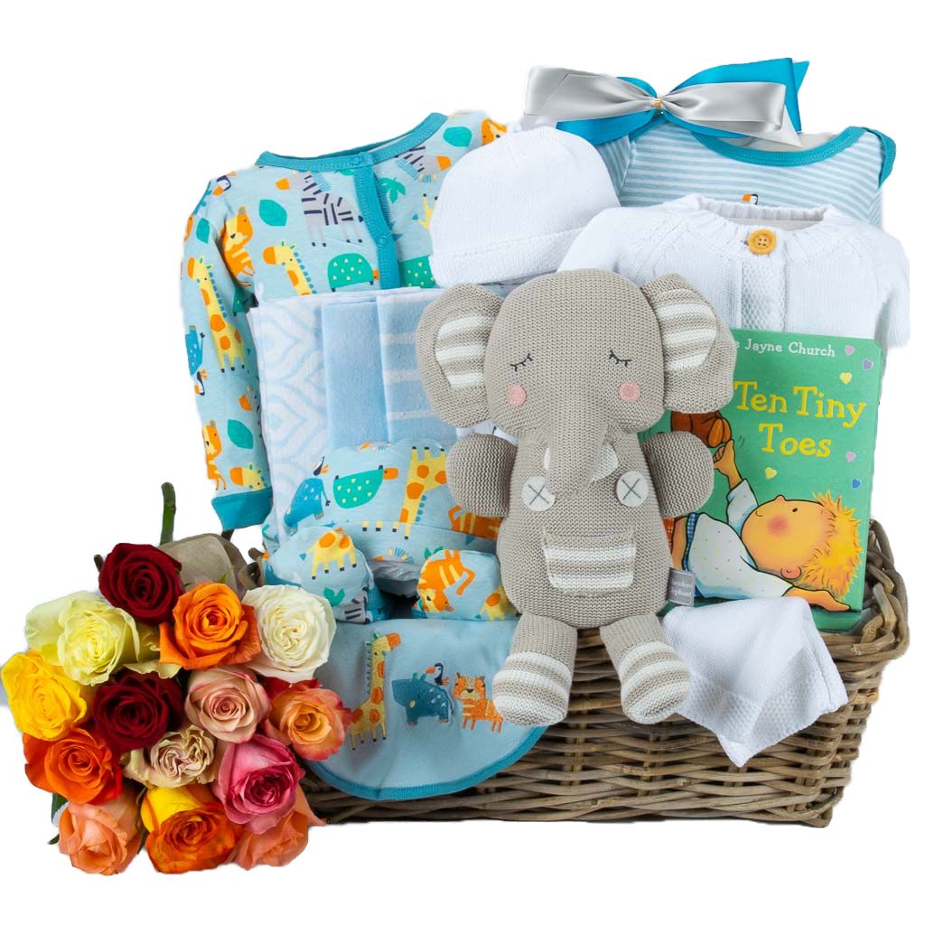 Popular Baby Gift Ideas | Newborn Baby Gifts | Stork Baby Gift Baskets –  StorkBabyGiftBaskets.com