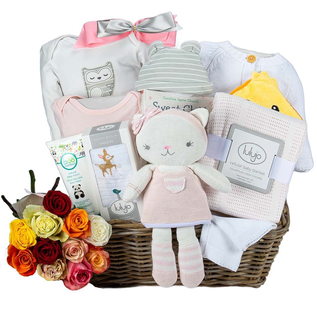 Welcome Home Baby Girl Pink Deluxe Gift Basket