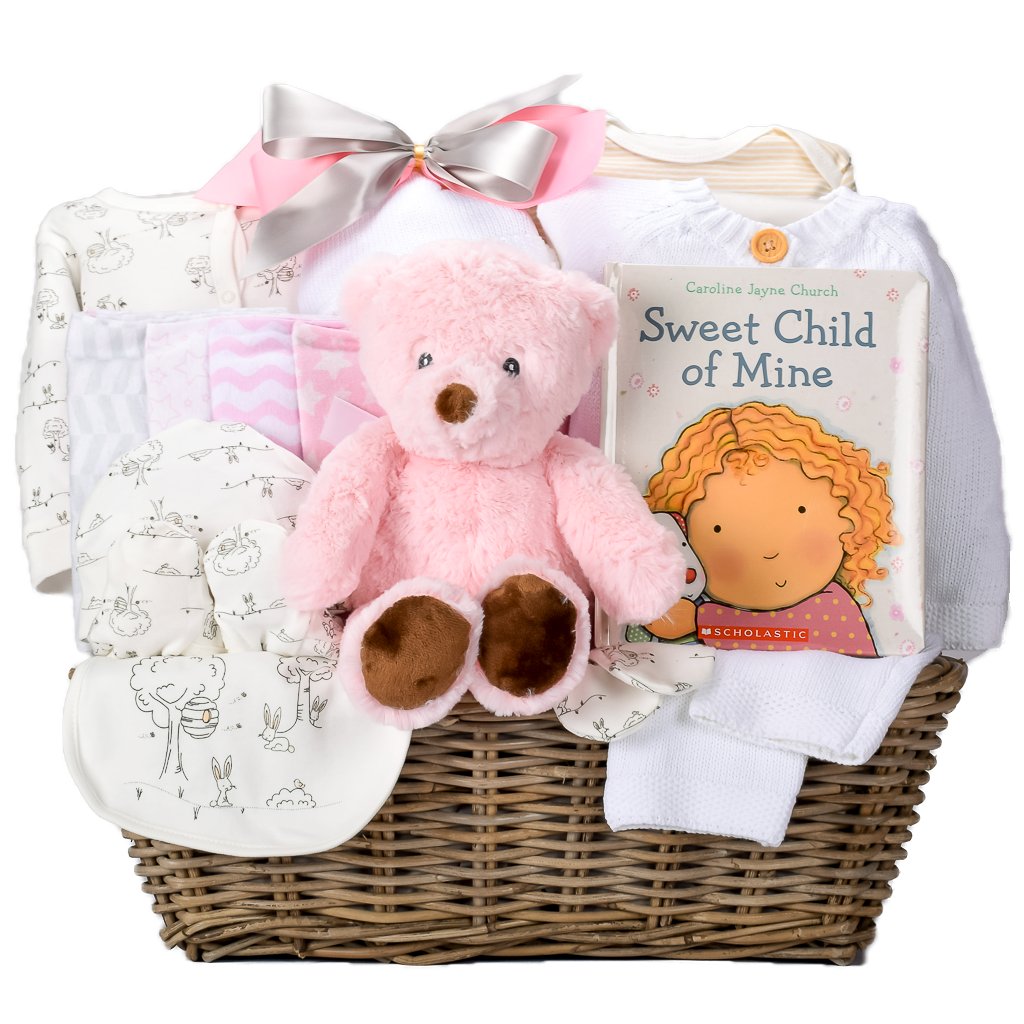 Precious Baby Girl Gift Basket