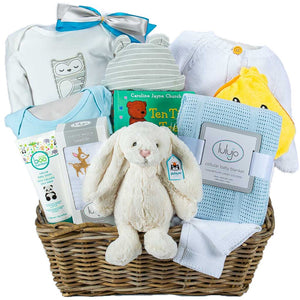 Luxury Baby Boy Basket