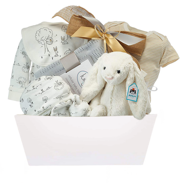 Neutral Baby Gift Baskets That Are Suitable For Any Occasion - MY BASKETS